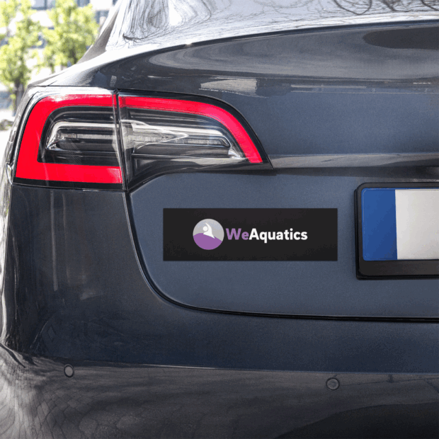 WEAquatics Car Magnets