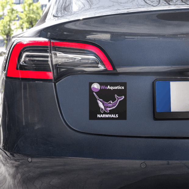 Car magnets - Image 2